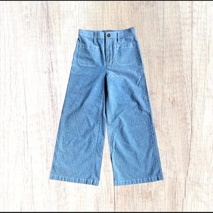 J.Crew Point Sur Wide leg Crops pinstripe 25